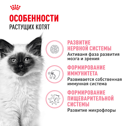 Сухой корм Royal Canin Kitten для котят до 12 месяцев 4 кг